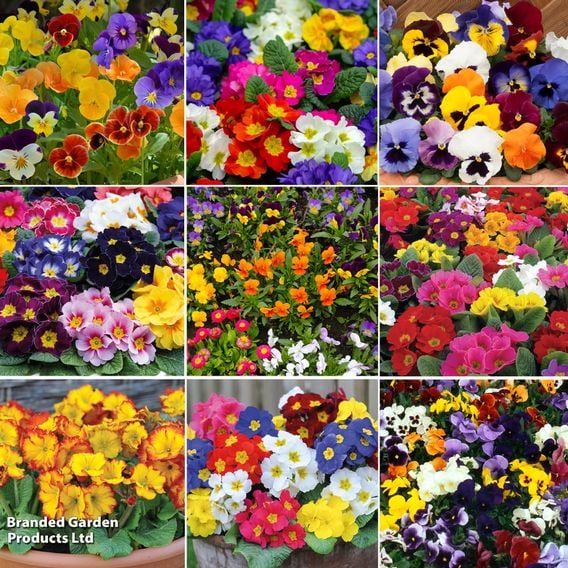 Winter Rainbow Bumper Bedding Collection