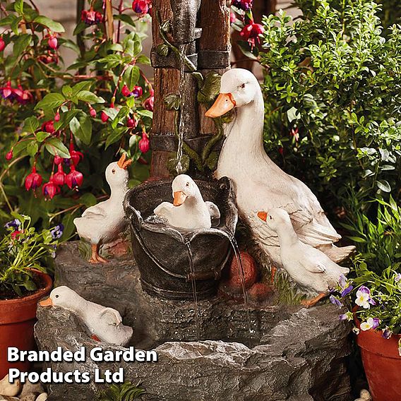 Duck Fountain