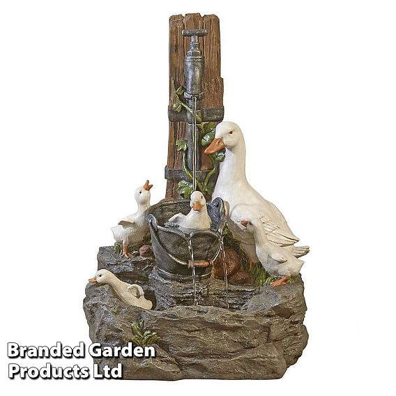 Duck Fountain