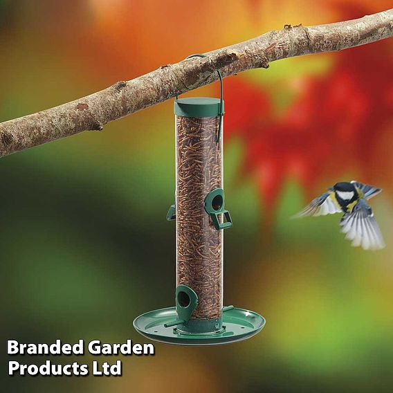 Supa - 4 Port Mealworm Feeder with Tray